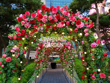 356X270_240514 Parnas Garden.jpg