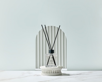 400x320_241002 신사업팀_향 PB(IC)_Diffuser.jpg